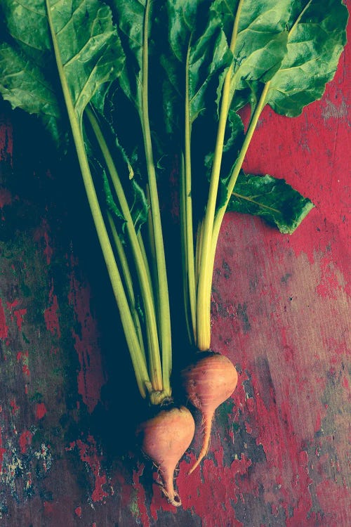 Garden To Table