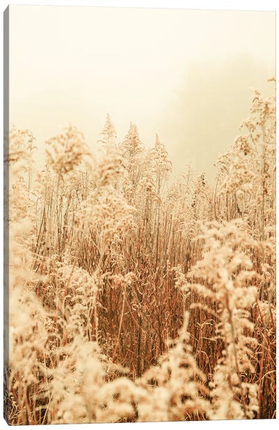 Nordic Winter I Canvas Art Print - Olivia Joy StClaire