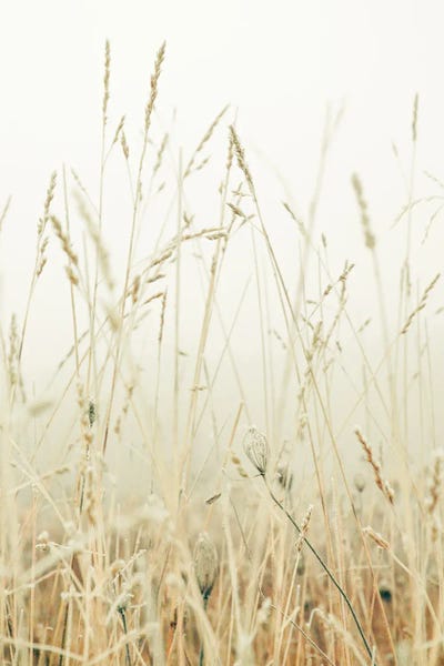 Winter Field I by Olivia Joy StClaire framed wall art