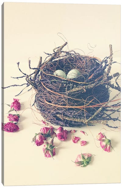 Nest Canvas Art Print - Egg Art