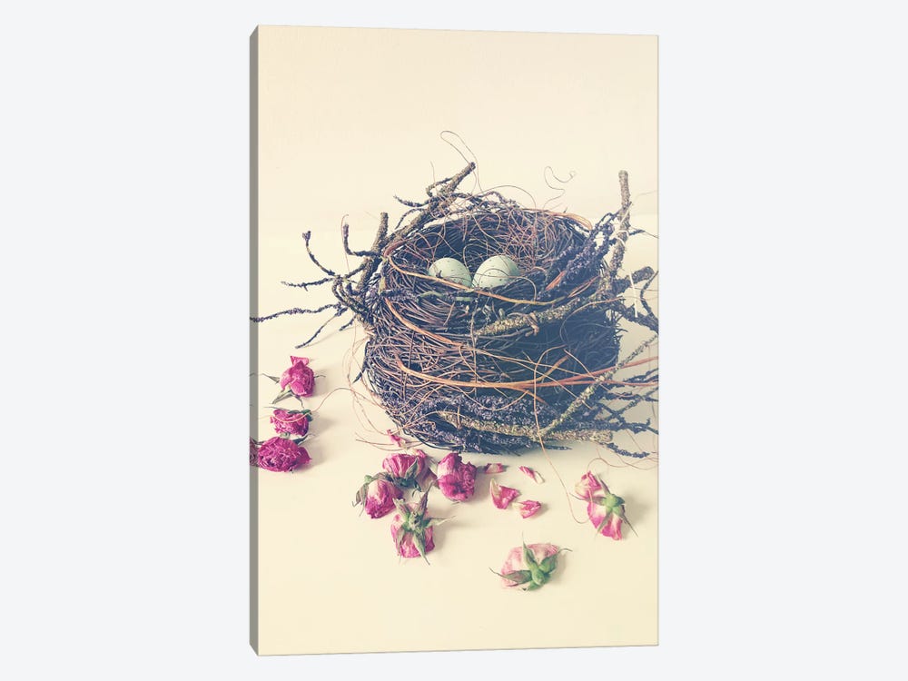 Nest by Olivia Joy StClaire 1-piece Art Print