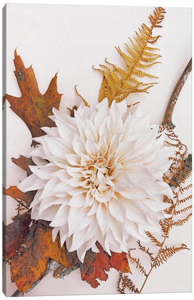Autumn Mood II Canvas Art Print - Dahlia Art