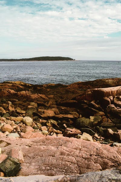 Coastal Life I by Olivia Joy StClaire framed wall art