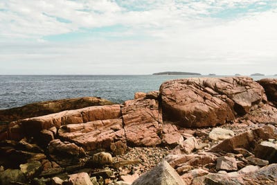Coastal Life II by Olivia Joy StClaire framed wall art