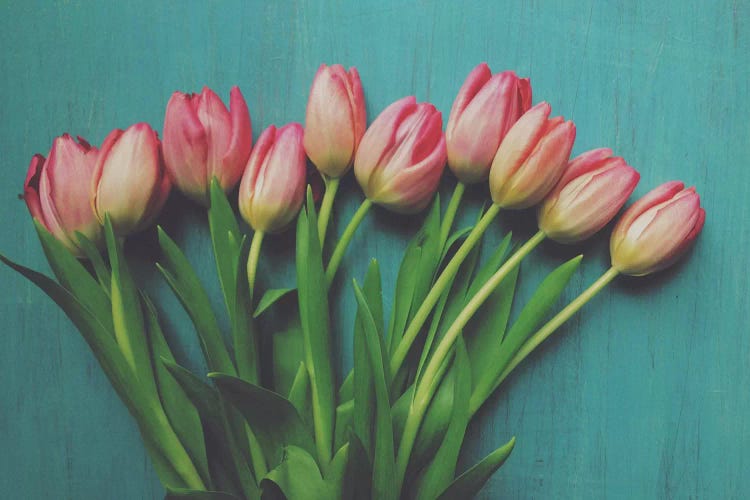 Pink Tulips I by Olivia Joy StClaire wall art