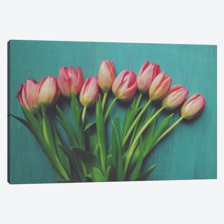 Pink Tulips I Canvas Print #OJS27} by Olivia Joy StClaire Canvas Art