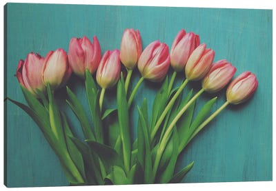 Murals Flowers Tulips Fabric Canvas Picture-XXL Images Art Print 209255P 