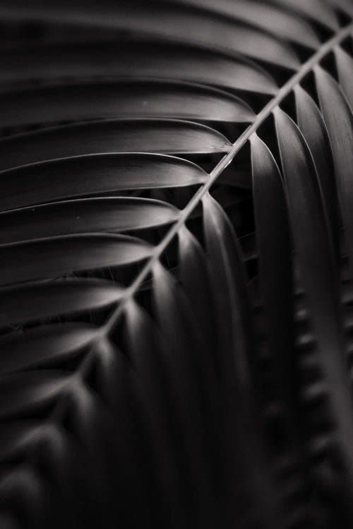 Bend by Olivia Joy StClaire wall art