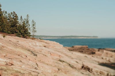Exploring By The Ocean by Olivia Joy StClaire framed wall art