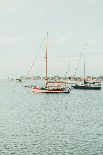 Uncharted Adventure by Olivia Joy StClaire canvas print