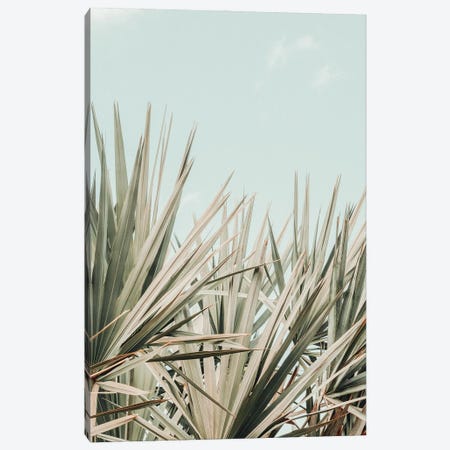Tropical Morning Canvas Print #OJS296} by Olivia Joy StClaire Canvas Art