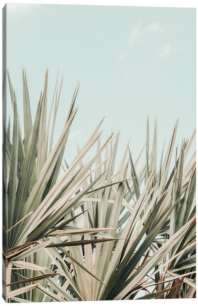 Tropical Morning Canvas Art Print - Olivia Joy StClaire