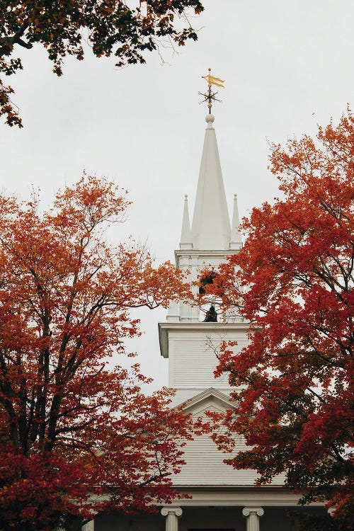 Autumn In Maine by Olivia Joy StClaire wall art
