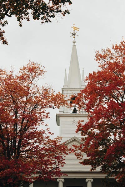 Maine: Autumn In Maine by Olivia Joy StClaire