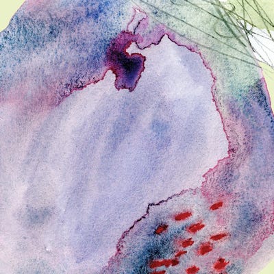 Iris by Olivia Joy StClaire art print