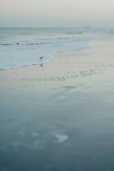 Summer Evening At The Beach by Olivia Joy StClaire framed canvas print