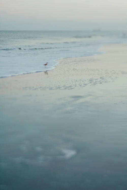Summer Evening At The Beach by Olivia Joy StClaire wall art