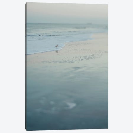 Summer Evening At The Beach Canvas Print #OJS314} by Olivia Joy StClaire Art Print