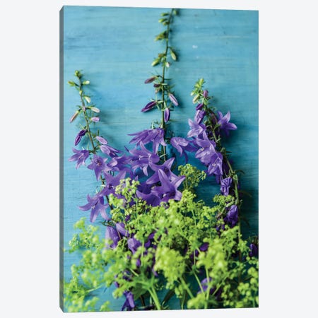 Bellflowers And Lady's Mantle Canvas Print #OJS317} by Olivia Joy StClaire Canvas Print