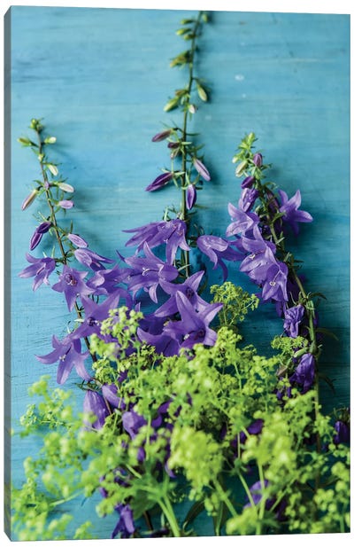 Bellflowers And Lady's Mantle Canvas Art Print - Olivia Joy StClaire