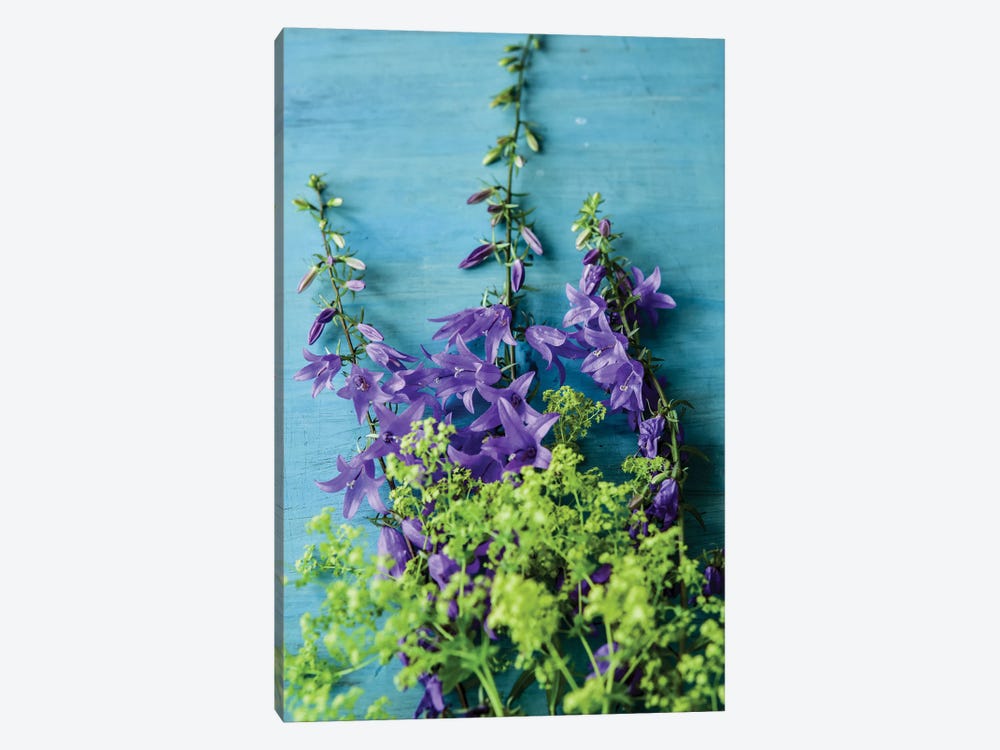 Bellflowers And Lady's Mantle by Olivia Joy StClaire 1-piece Canvas Art