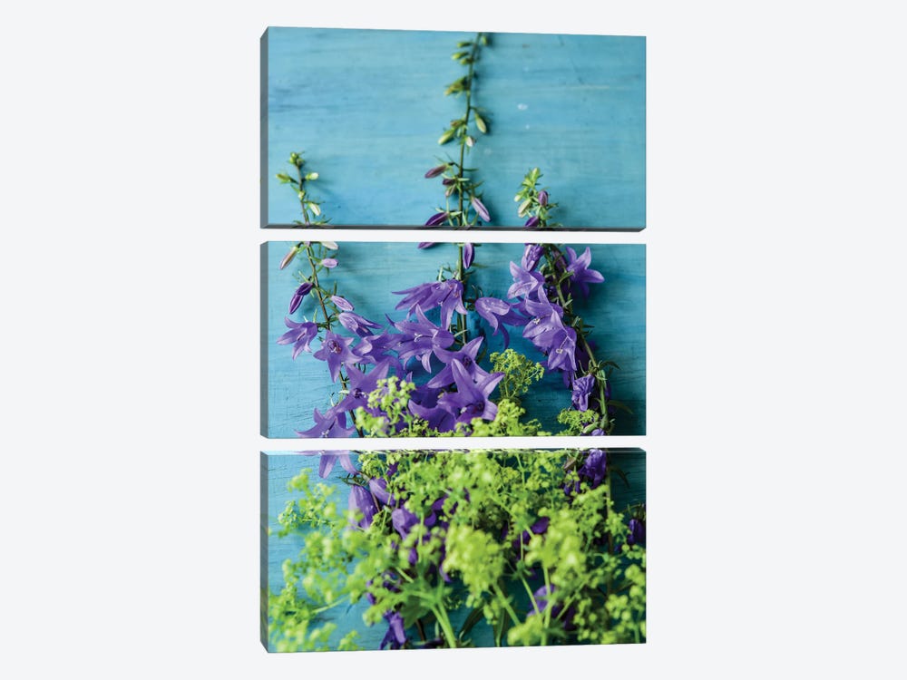 Bellflowers And Lady's Mantle by Olivia Joy StClaire 3-piece Canvas Artwork
