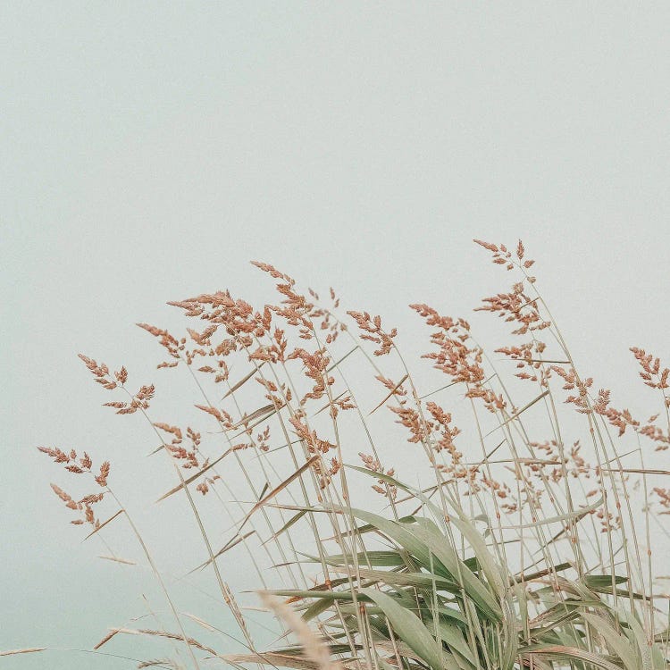 Morning By The Sea by Olivia Joy StClaire wall art