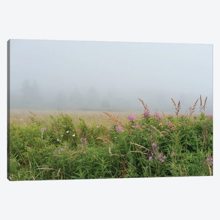Meadow In The Mist Canvas Print #OJS327} by Olivia Joy StClaire Canvas Art