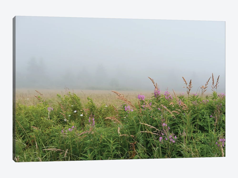 Meadow In The Mist by Olivia Joy StClaire 1-piece Canvas Art Print