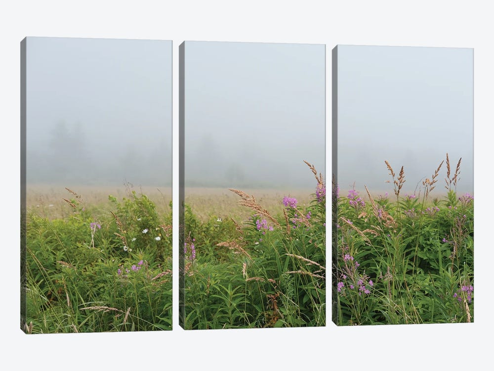 Meadow In The Mist by Olivia Joy StClaire 3-piece Canvas Art Print