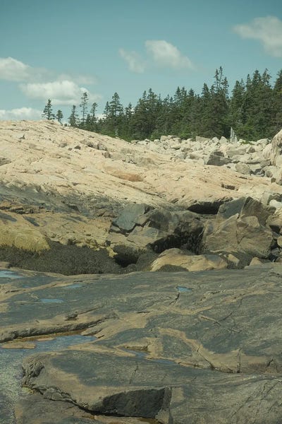 Coastal Landscape CCXI by Olivia Joy StClaire canvas print