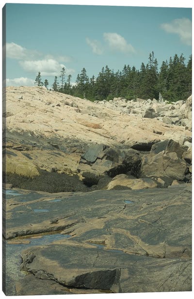 Coastal Landscape CCXI Canvas Art Print