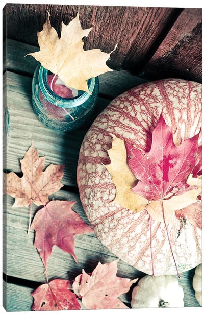 Pumpkin And Leaves Canvas Art Print - Thanksgiving Art