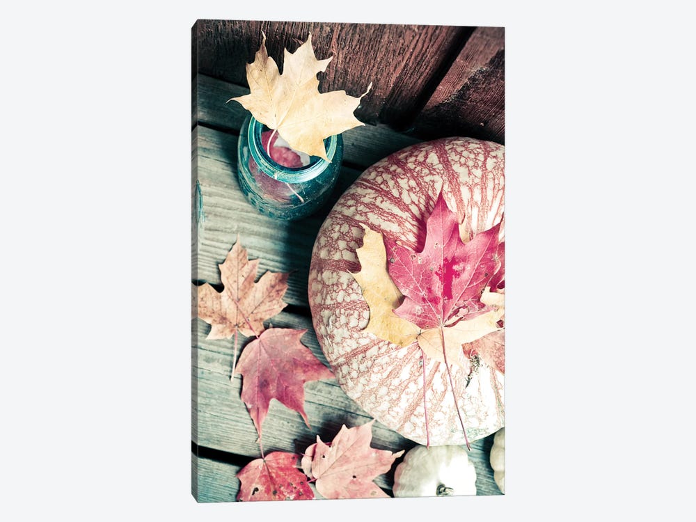 Pumpkin And Leaves by Olivia Joy StClaire 1-piece Canvas Art