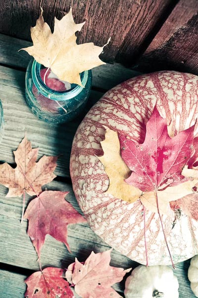 Still Life Photography: Pumpkin And Leaves by Olivia Joy StClaire