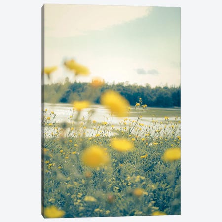 Yellow Summer Wildflowers Canvas Print #OJS343} by Olivia Joy StClaire Canvas Print