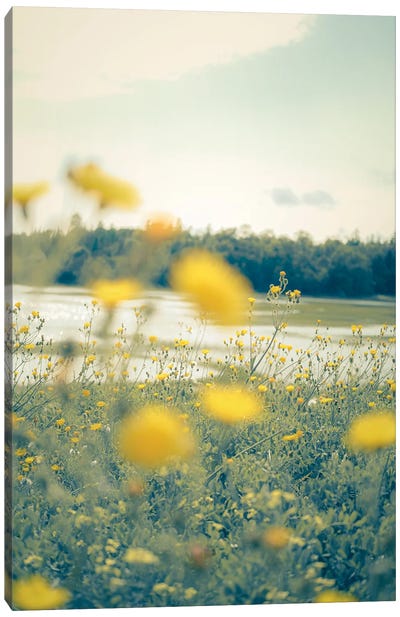 Yellow Summer Wildflowers Canvas Art Print - Olivia Joy StClaire
