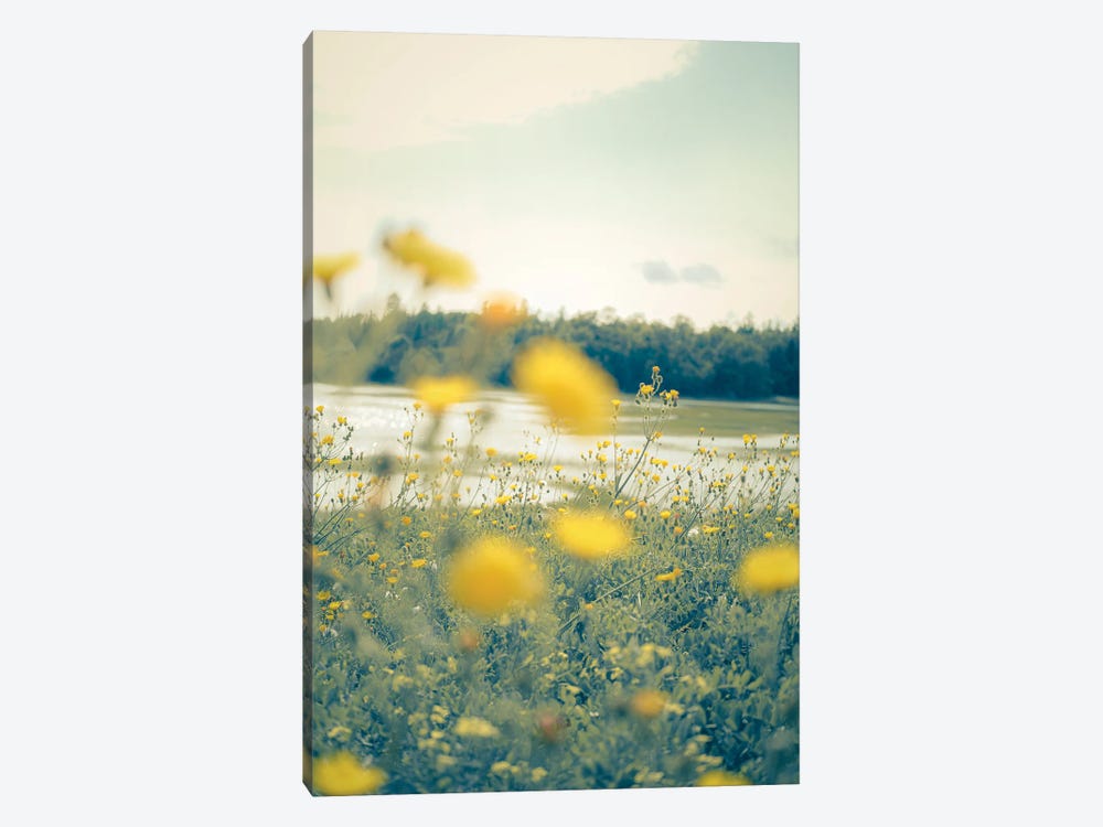 Yellow Summer Wildflowers by Olivia Joy StClaire 1-piece Canvas Art Print