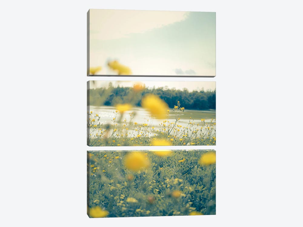 Yellow Summer Wildflowers by Olivia Joy StClaire 3-piece Canvas Art Print