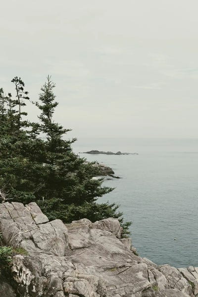 Rocky Beaches: Rocky Coast by Olivia Joy StClaire