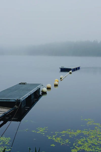 Ponds: Foggy Pond by Olivia Joy StClaire