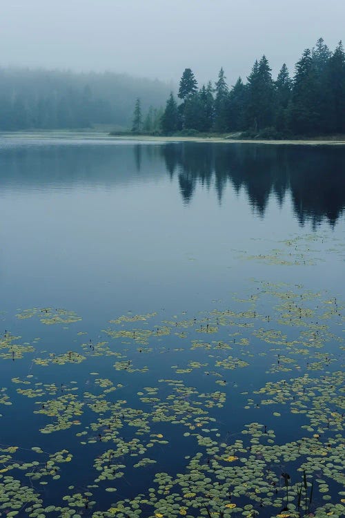 Northern Lake