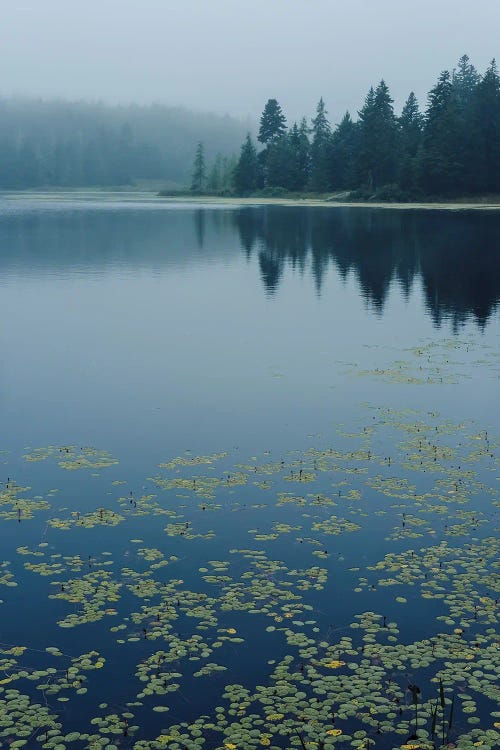 Northern Lake