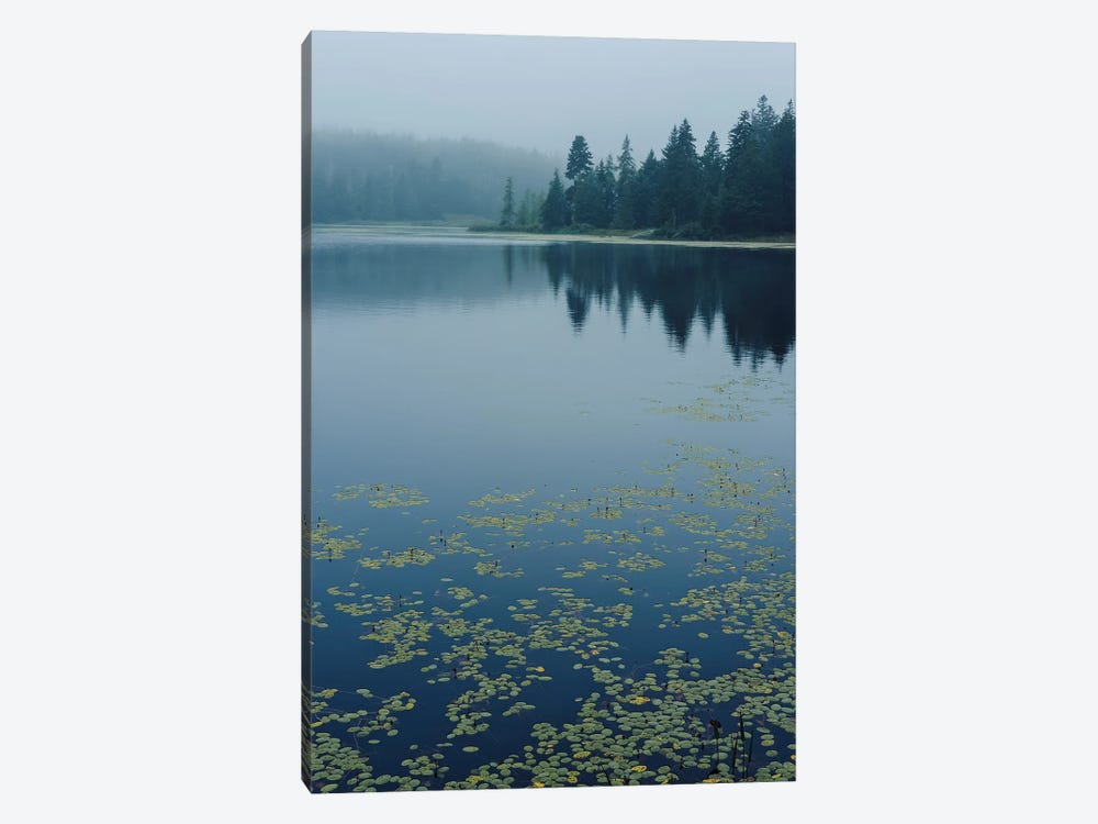 Northern Lake by Olivia Joy StClaire 1-piece Canvas Print
