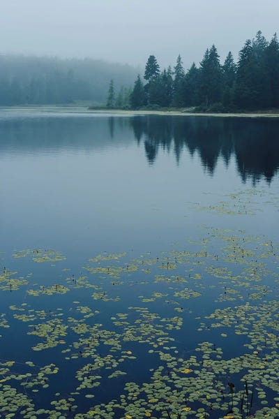 Mist & Fog: Northern Lake by Olivia Joy StClaire