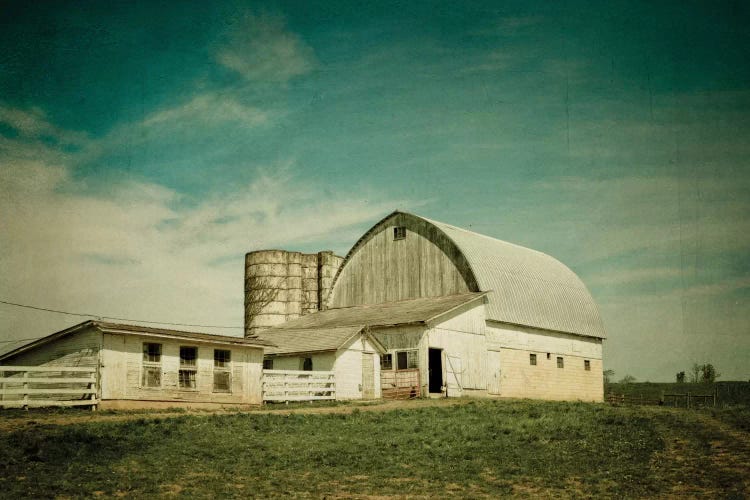 Rural Life by Olivia Joy StClaire wall art
