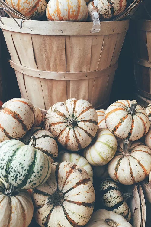 Rustic Pumpkins I