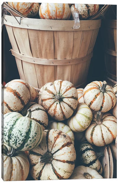 Rustic Pumpkins I Canvas Art Print - Instagram Material
