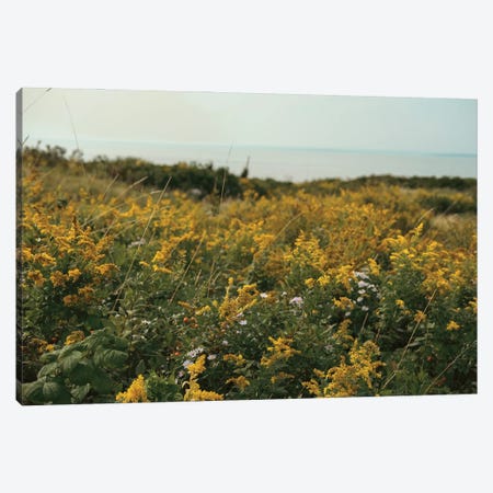 Wildflower Field By The Sea Canvas Print #OJS373} by Olivia Joy StClaire Canvas Art