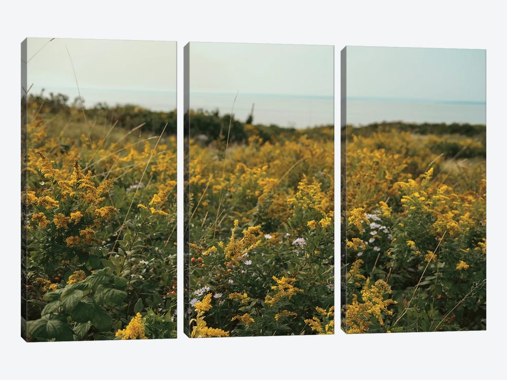 Wildflower Field By The Sea by Olivia Joy StClaire 3-piece Canvas Wall Art